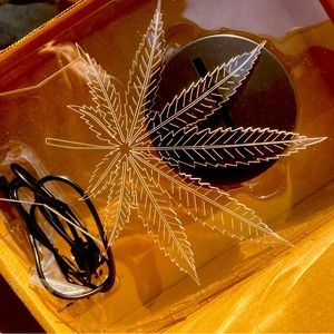 Adult night light or decor